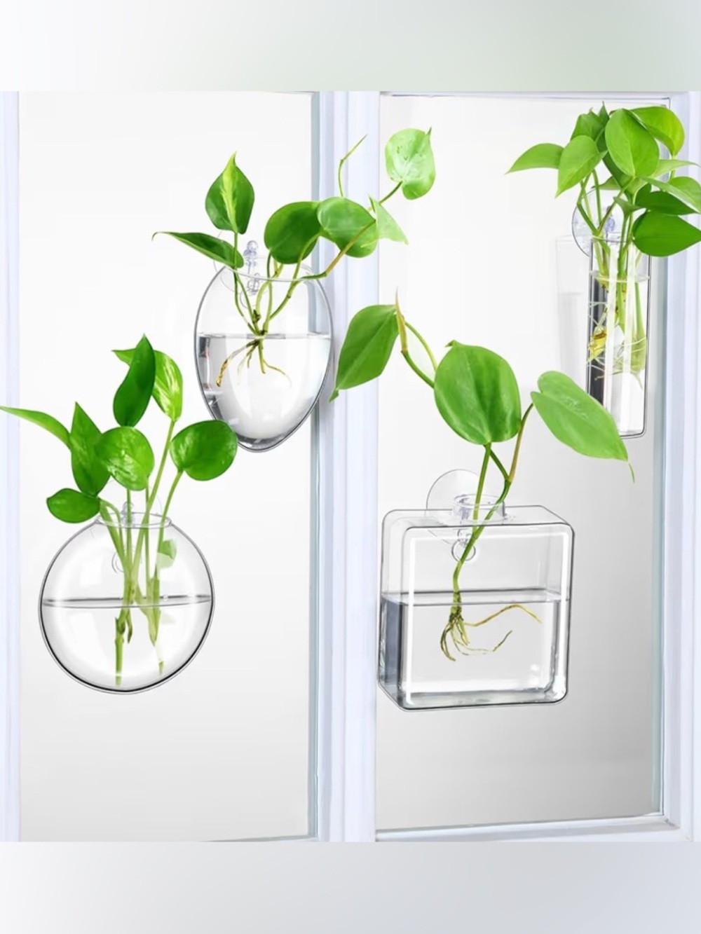 Baderke 4 Pcs Wall Hanging Planter Wall Window Propagation Station Hanging - Picture 2 of 5
